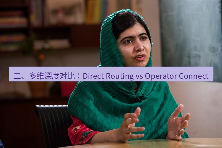 teams官网 二、多维深度对比：Direct Routing vs Operator Connect
